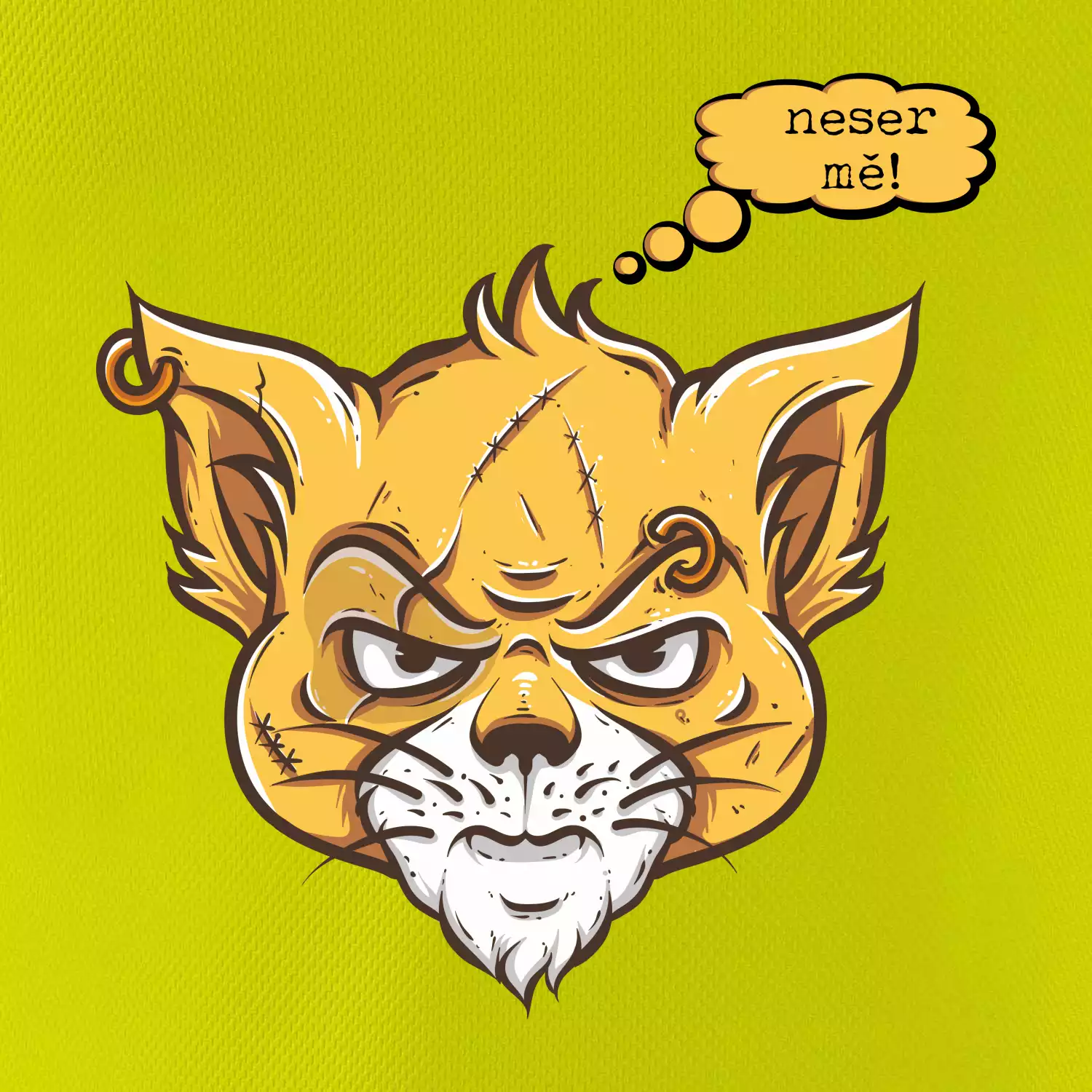 Kočka