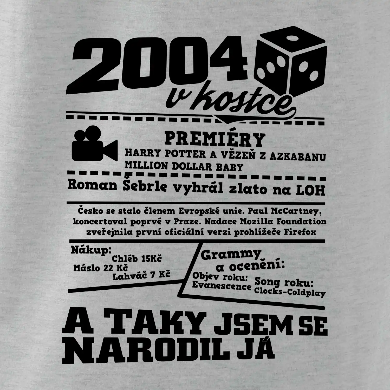 2004 v kostce