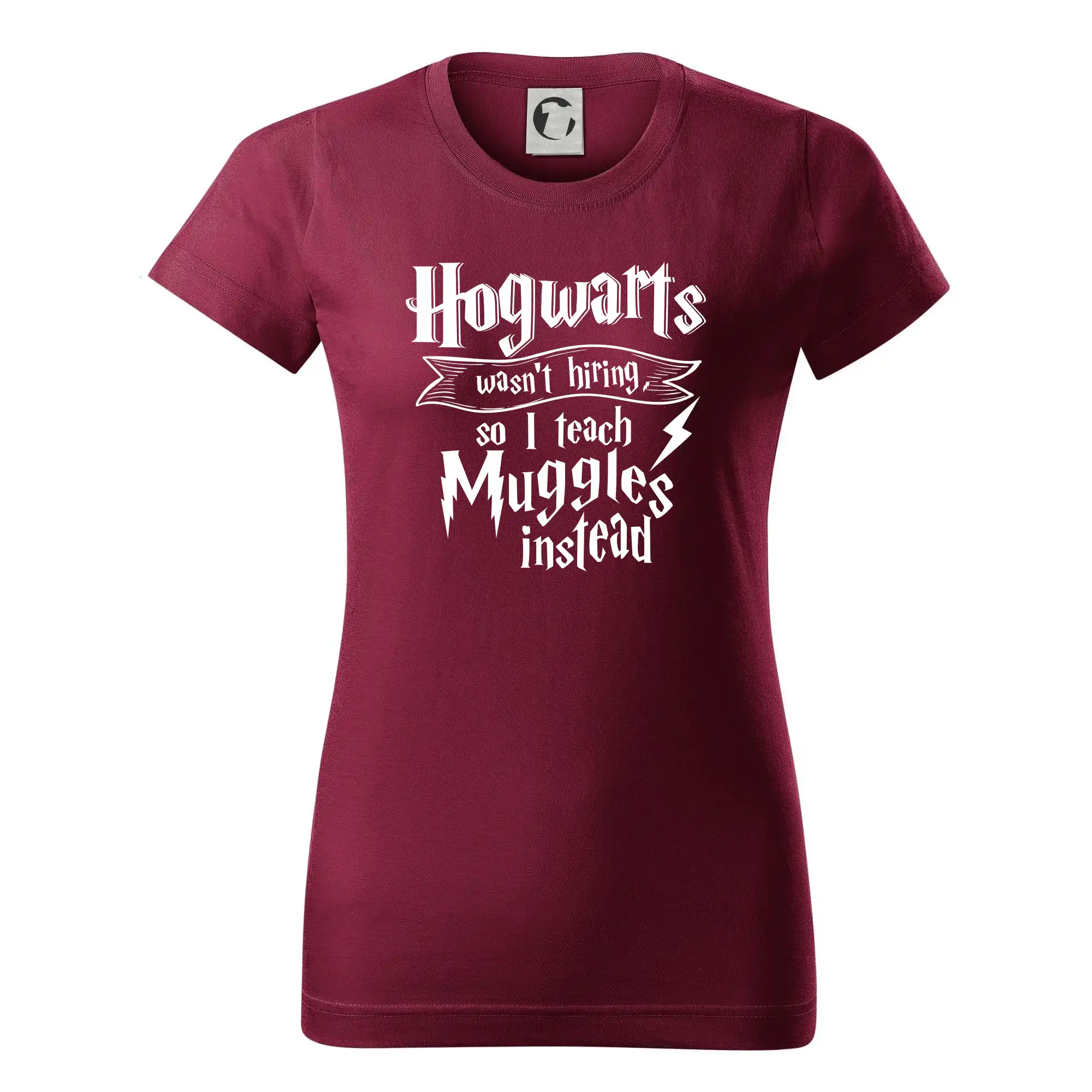 Harry - Hogwarts wasn’t hiring, so I teach Muggles instead