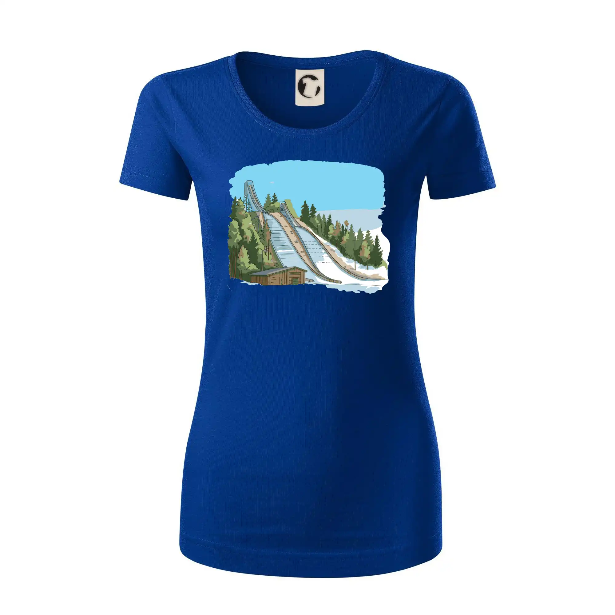 Obrázek skokanských můstků