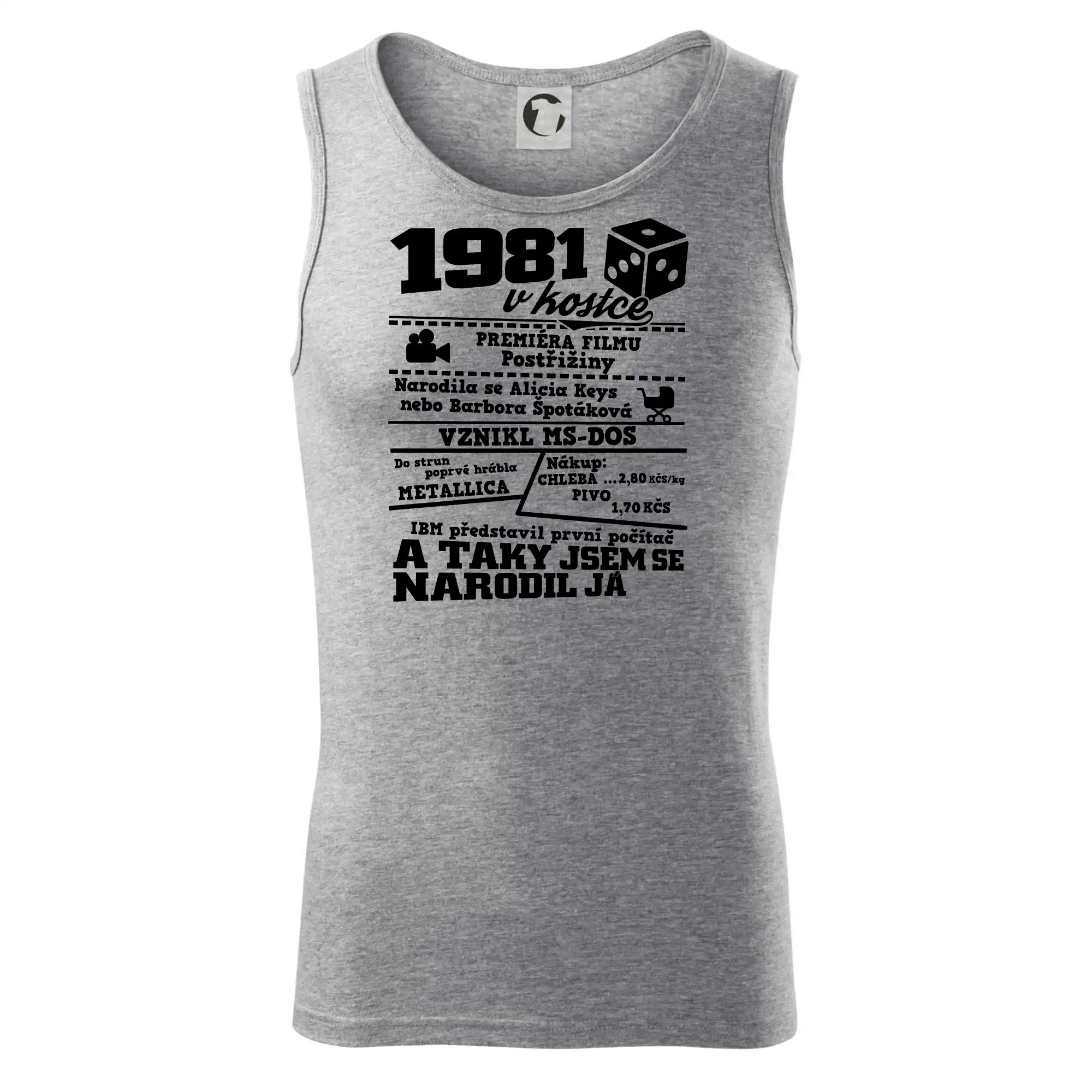 1981 v kostce