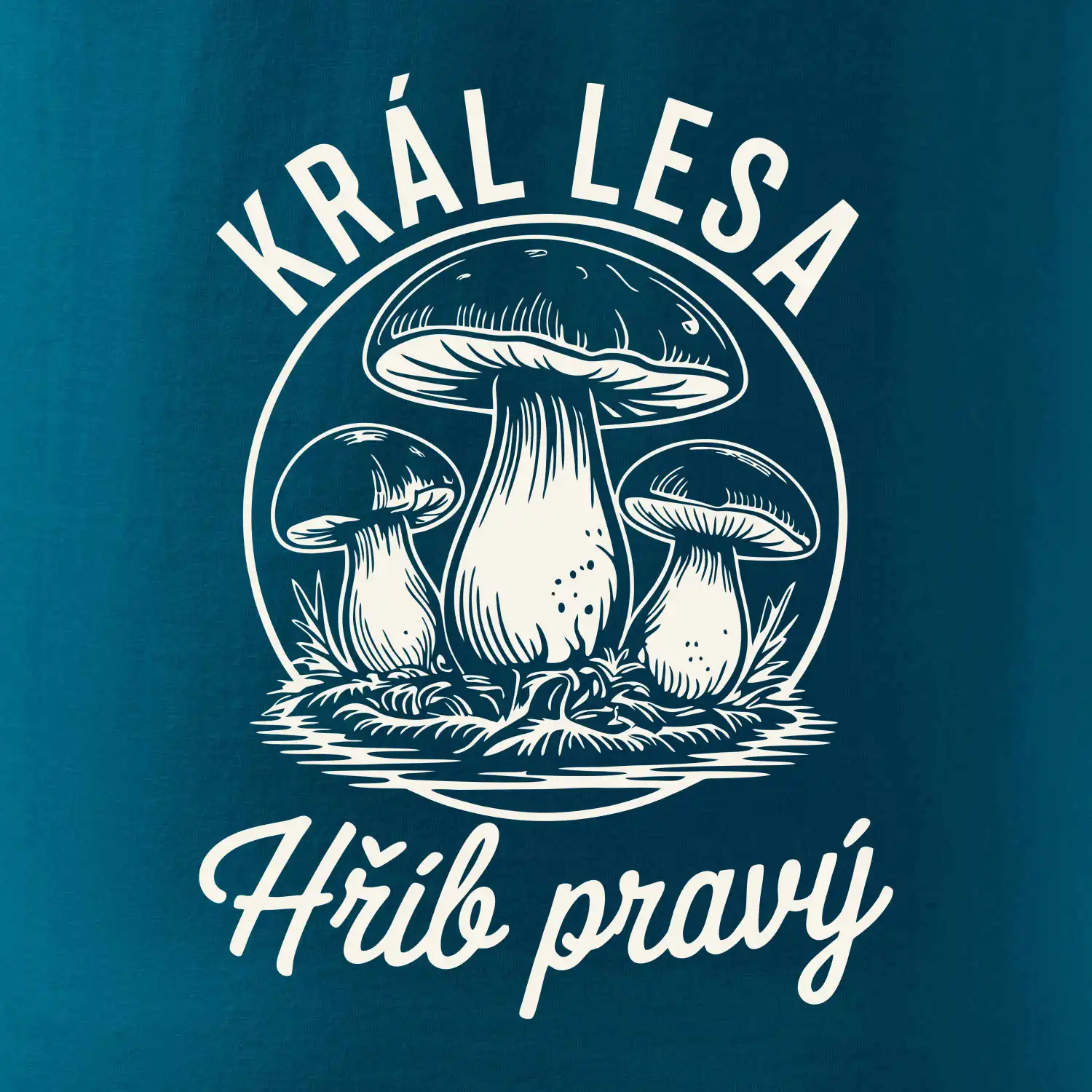 Král lesa hřib pravý