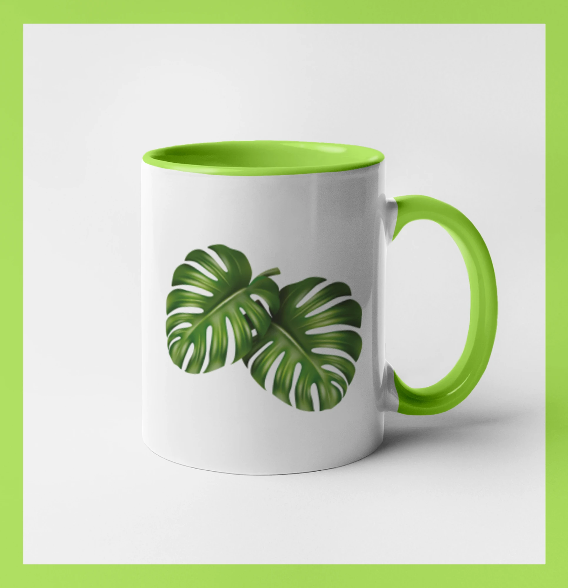Monstera - dva listy