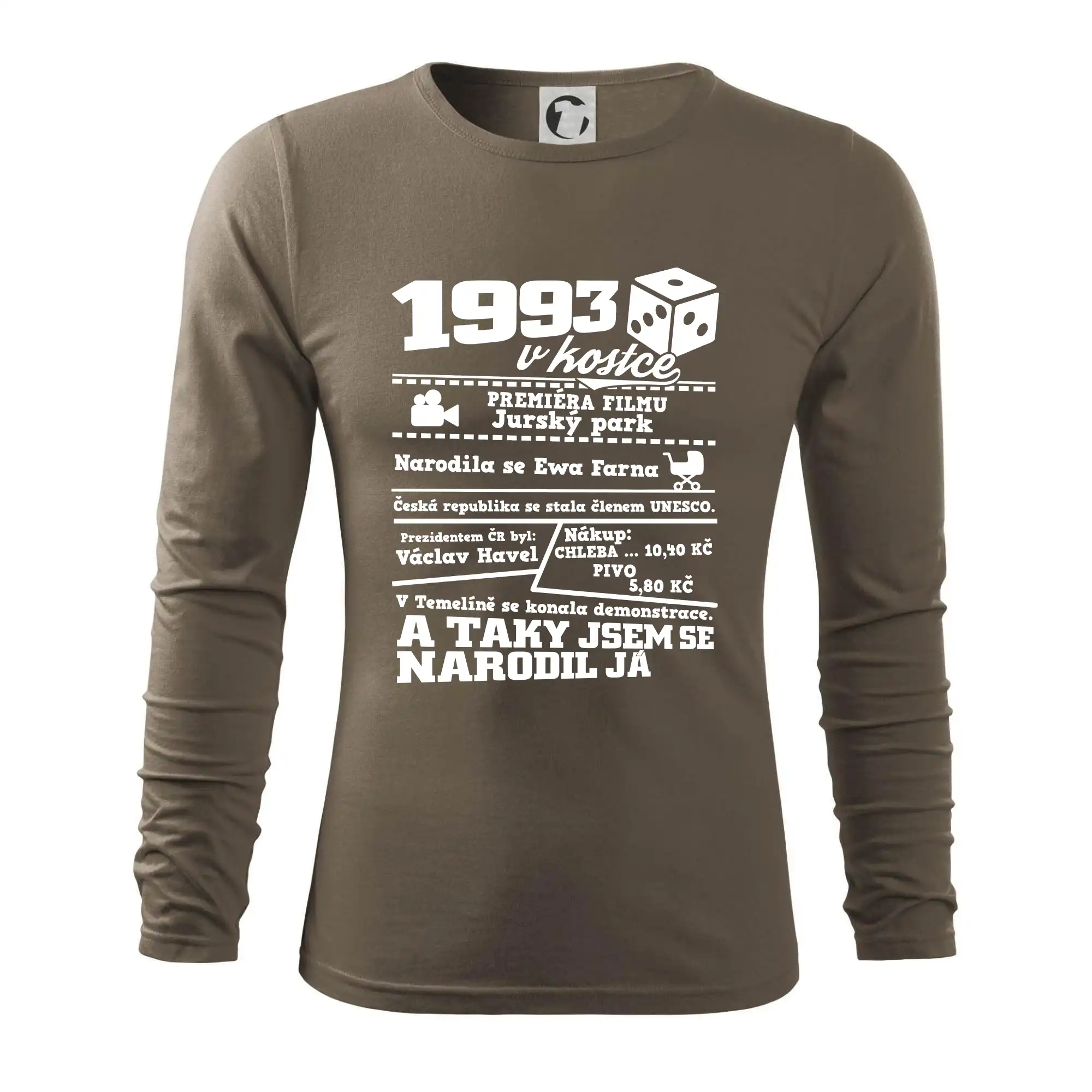 1993 v kostce