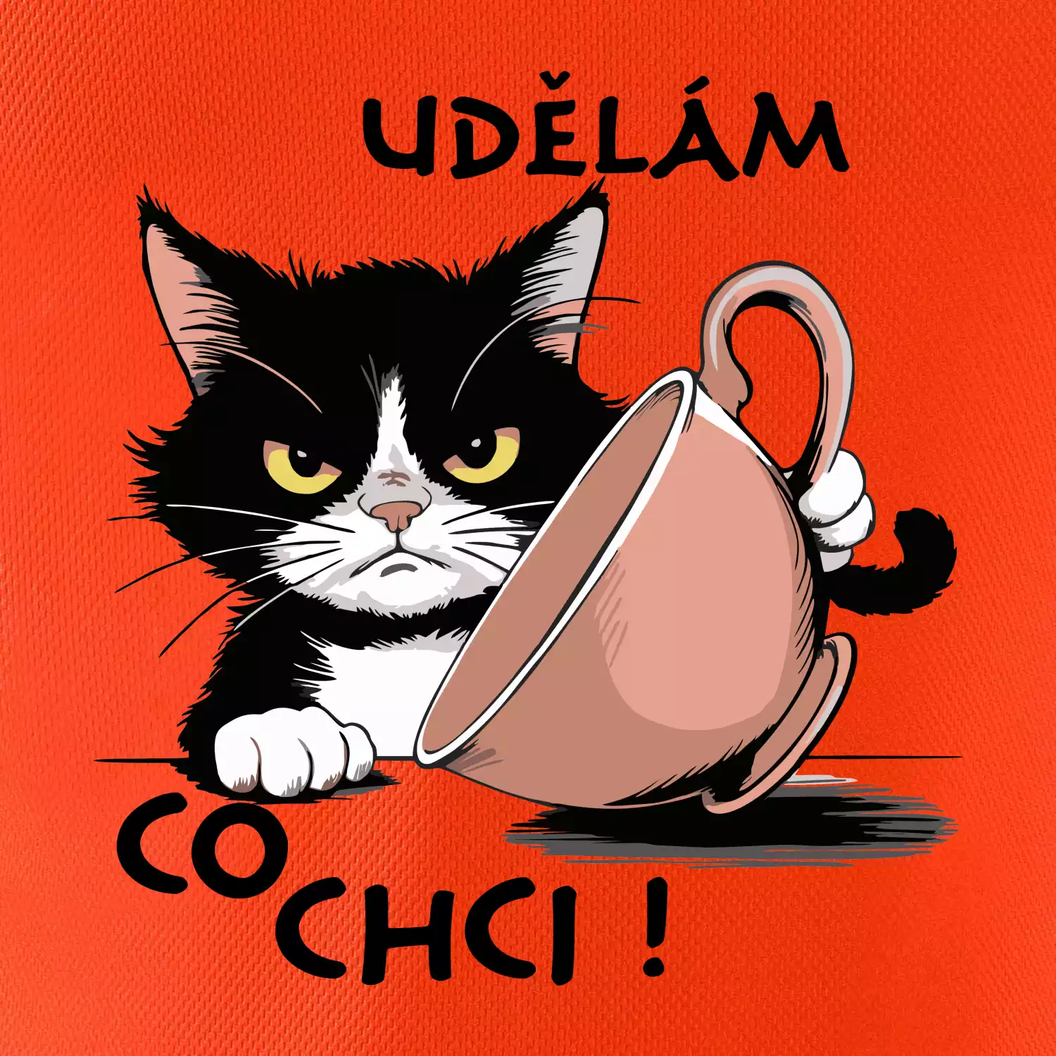 Kočka - udělám co chci