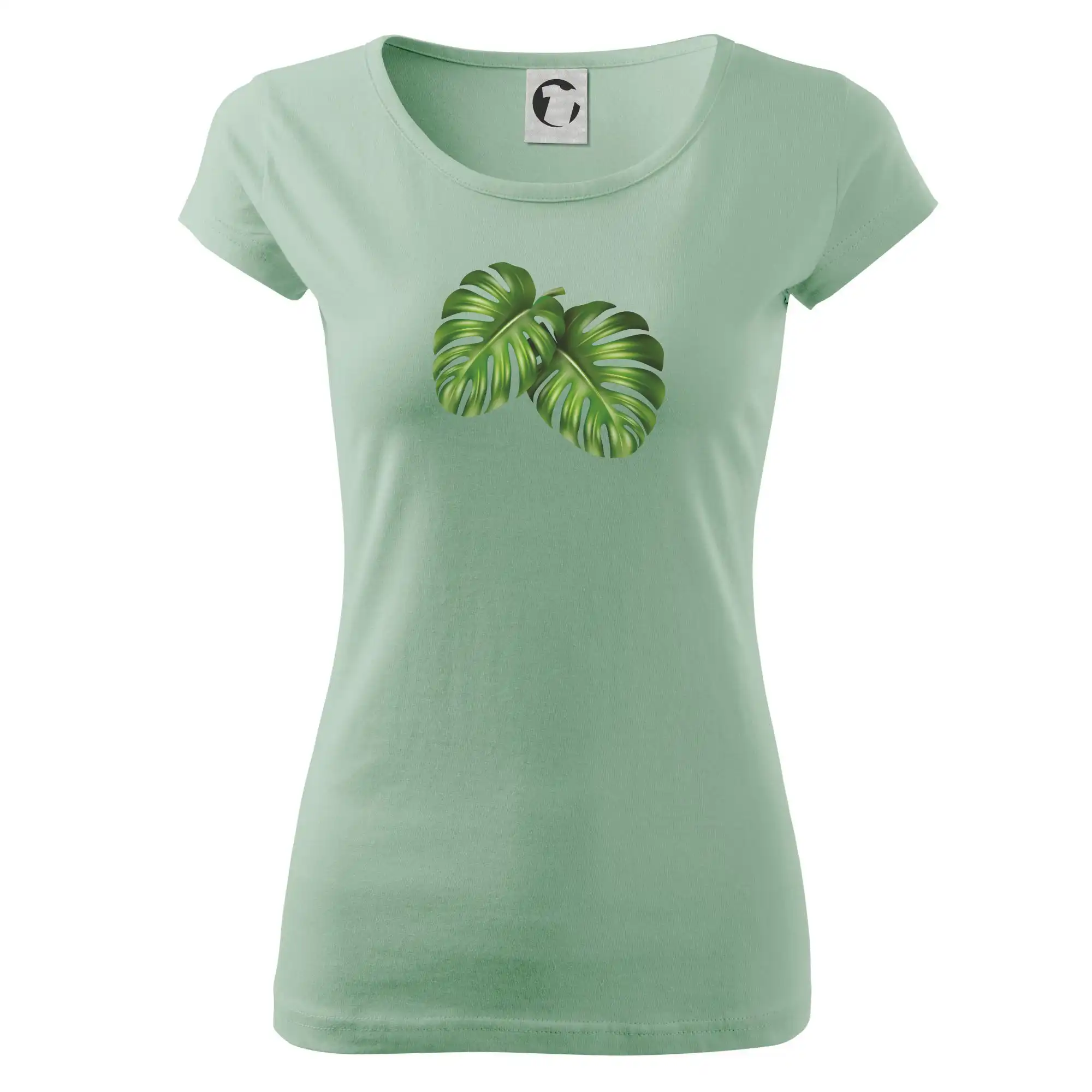 Monstera - dva listy