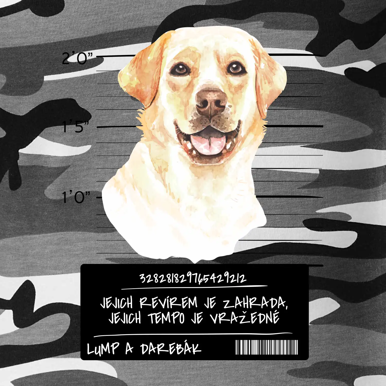 Lump a darebák labrador