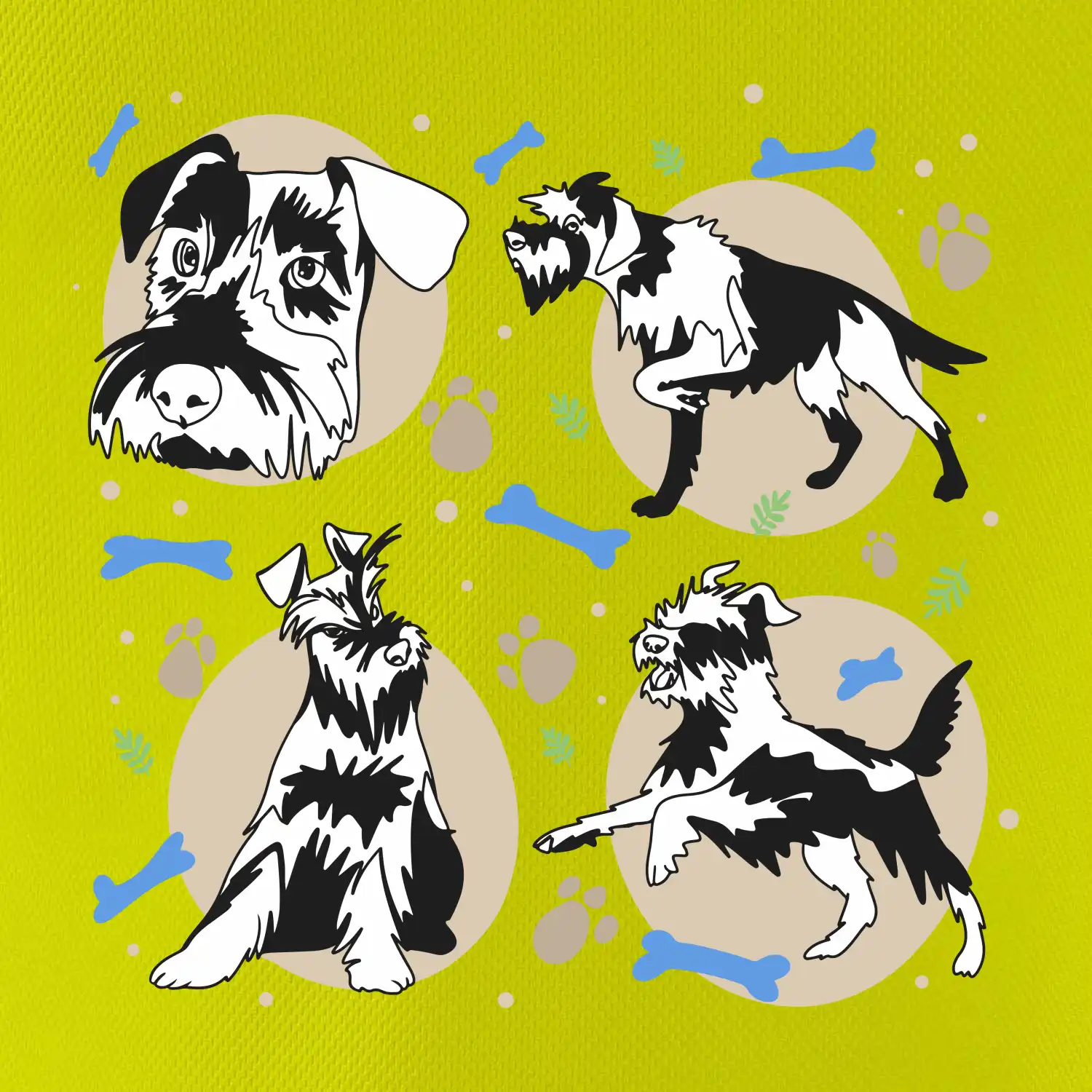 Knírač - 4 obrázky