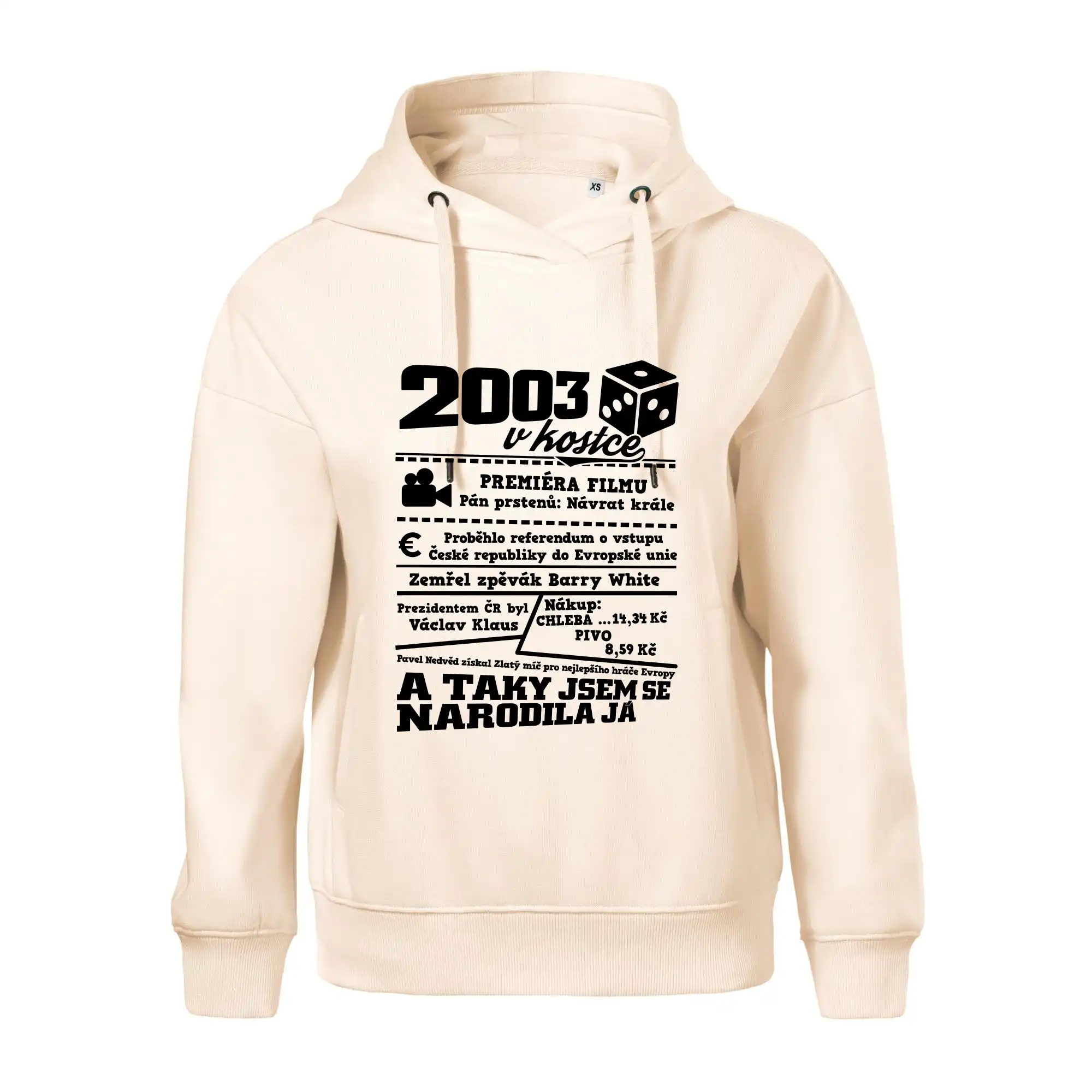2003 v kostce