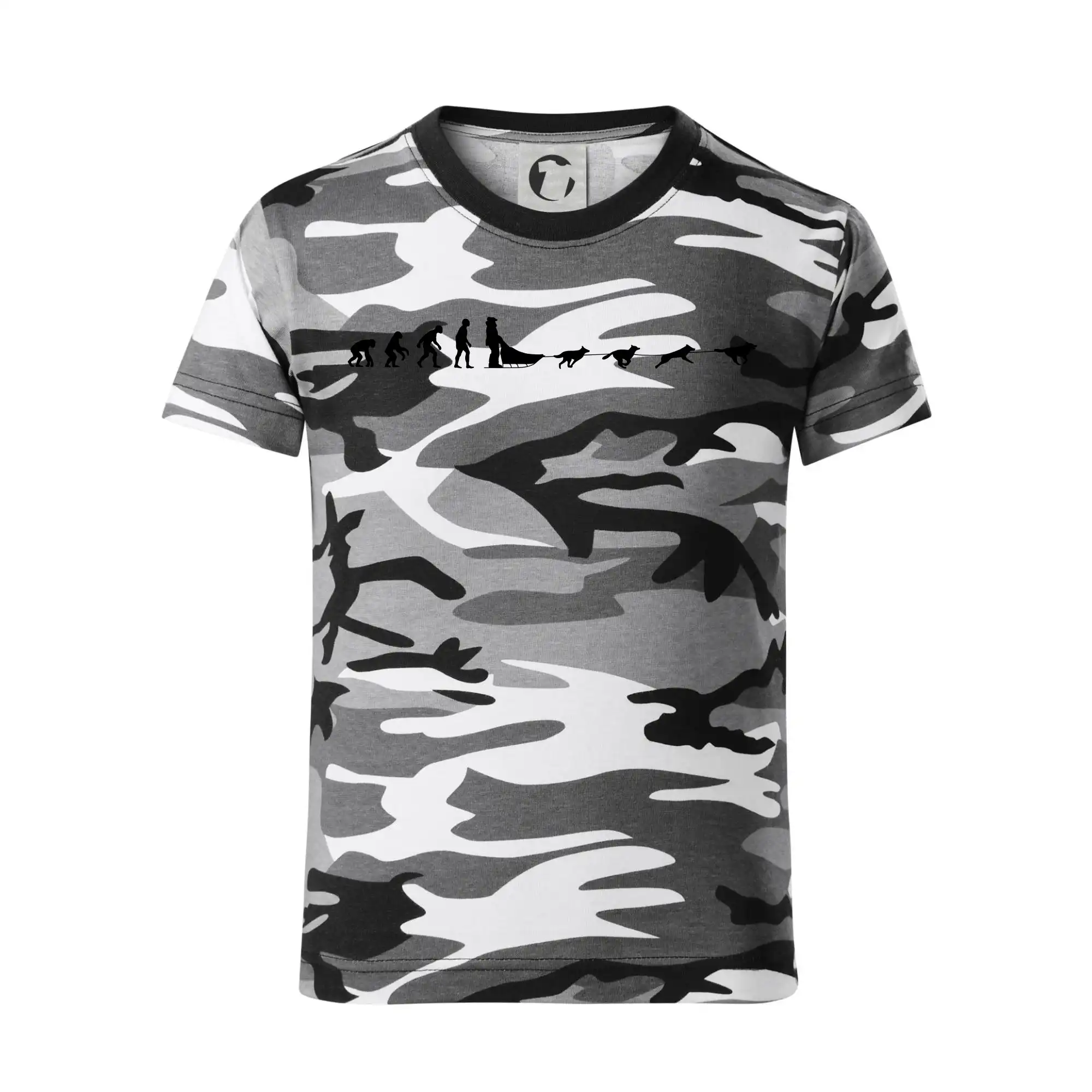 Evoluce psí spřežení