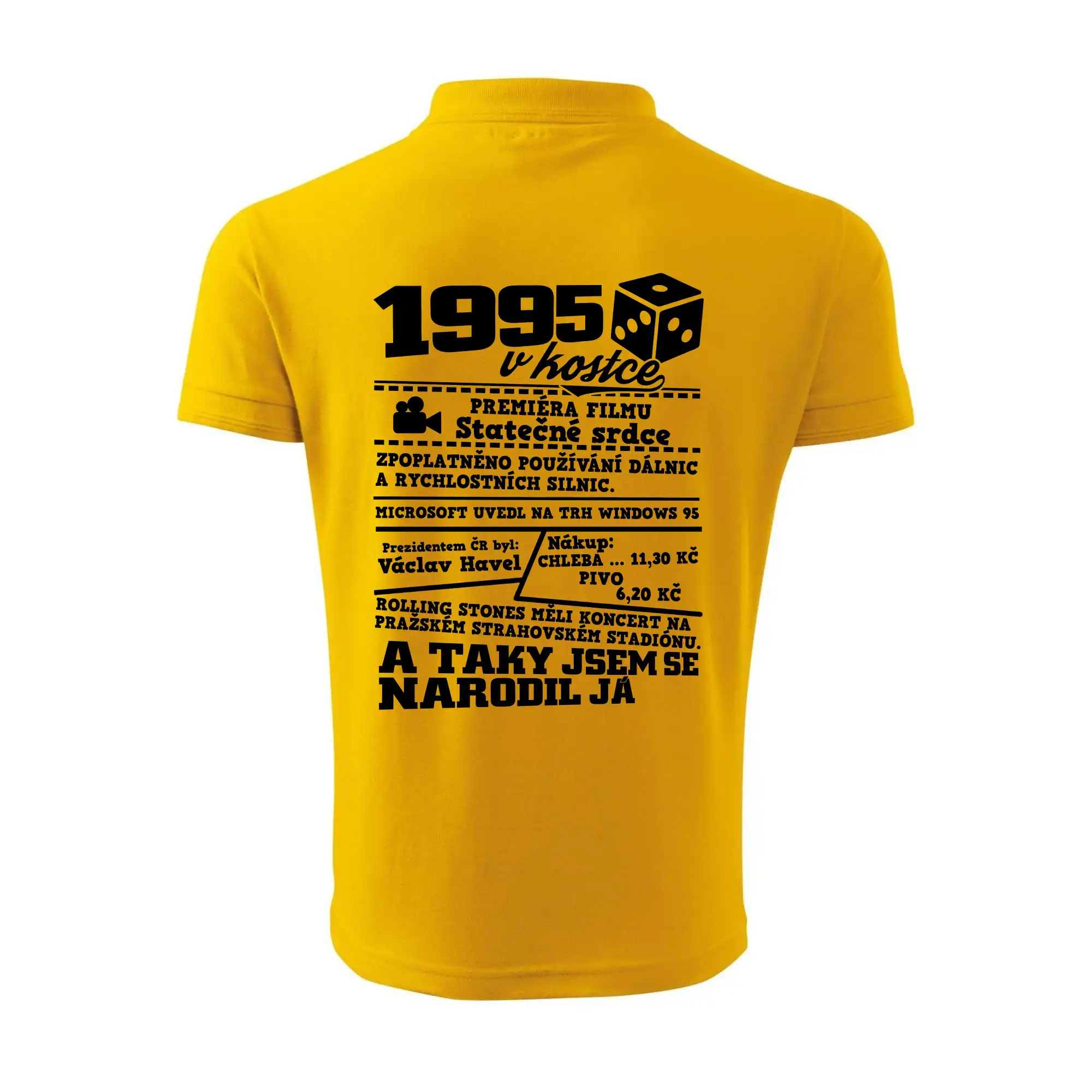 1995 v kostce