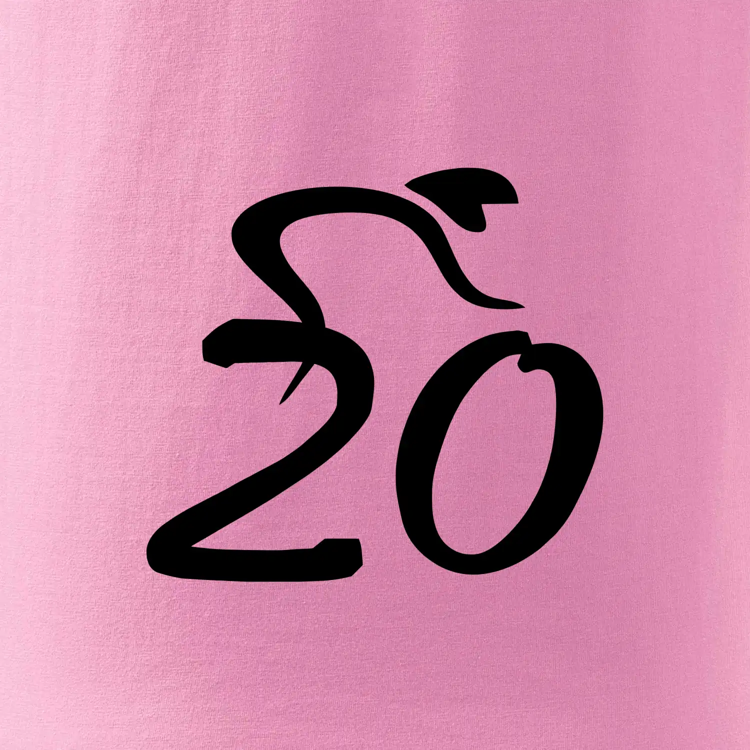 Cyklista slaví dvacítku (20)