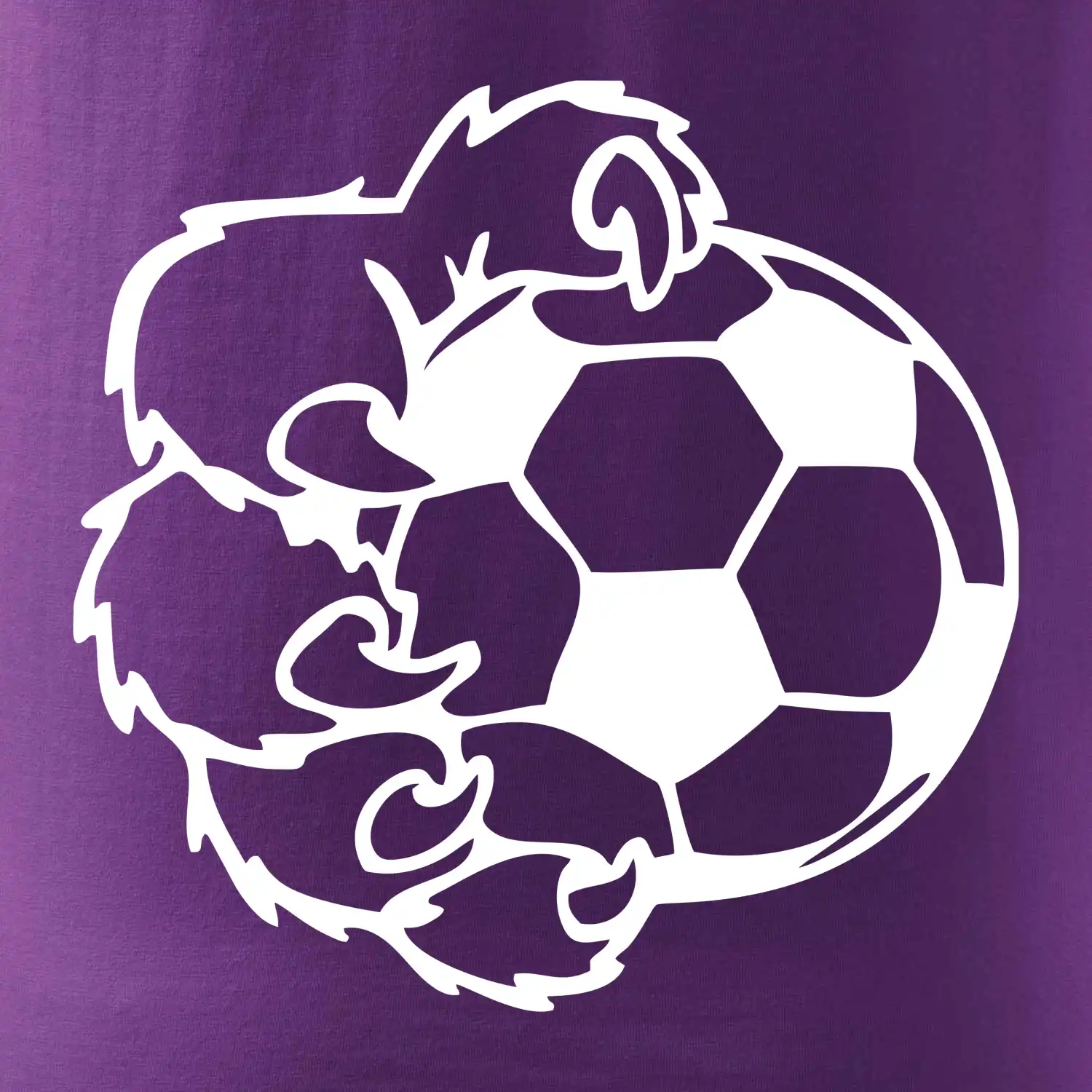 Medvědí tlapa fotbal