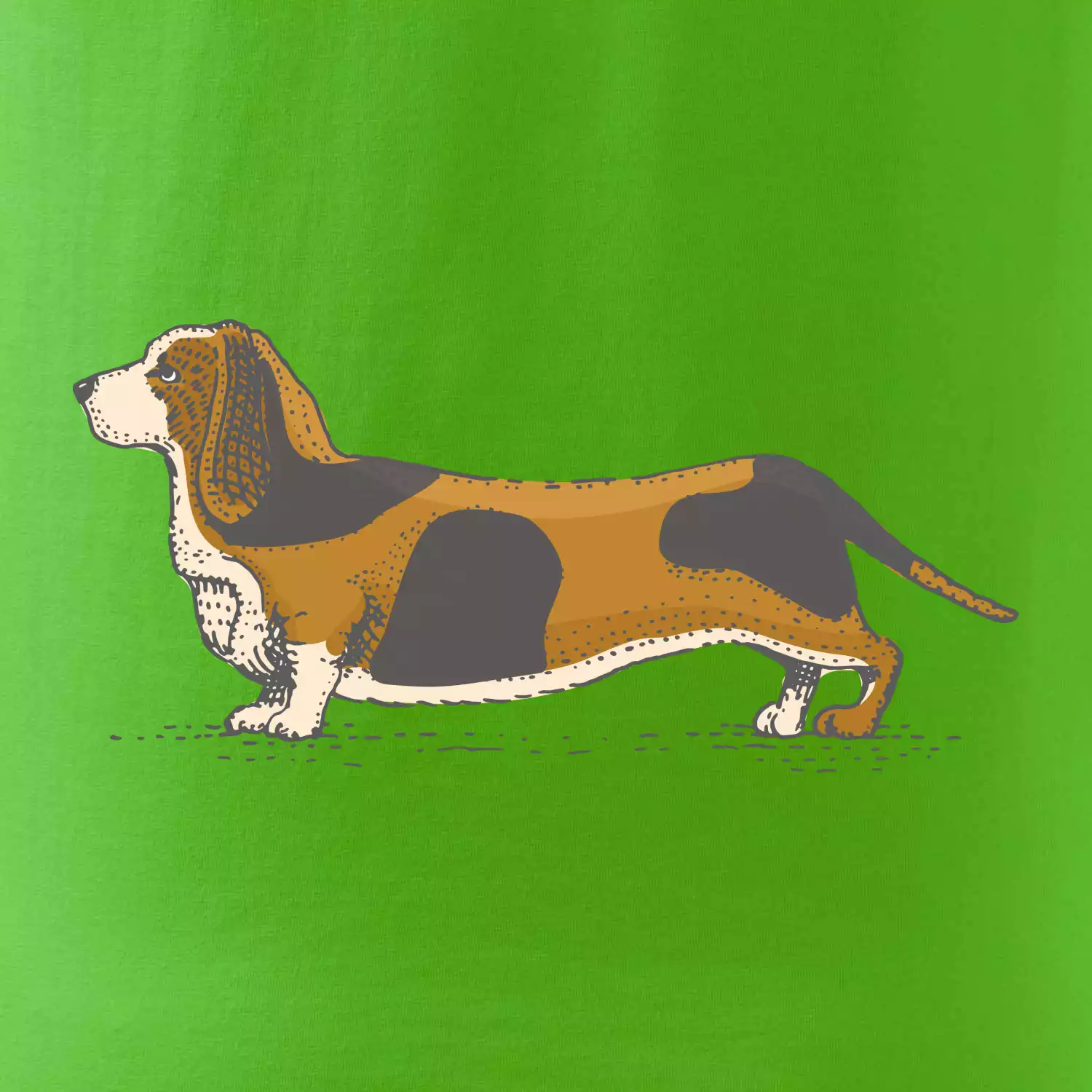 Vintage basset
