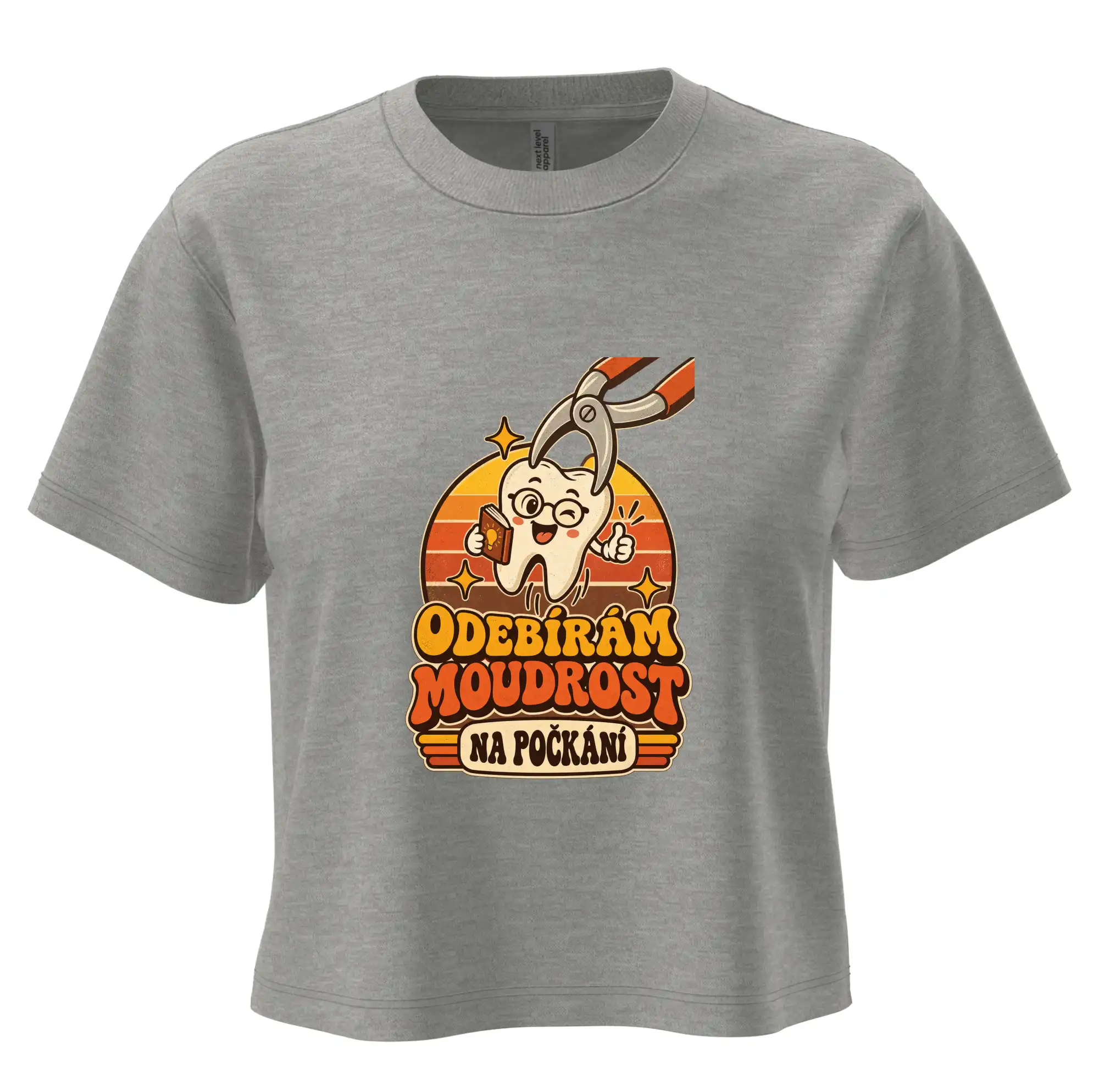 Odebírám moudrost na počkání