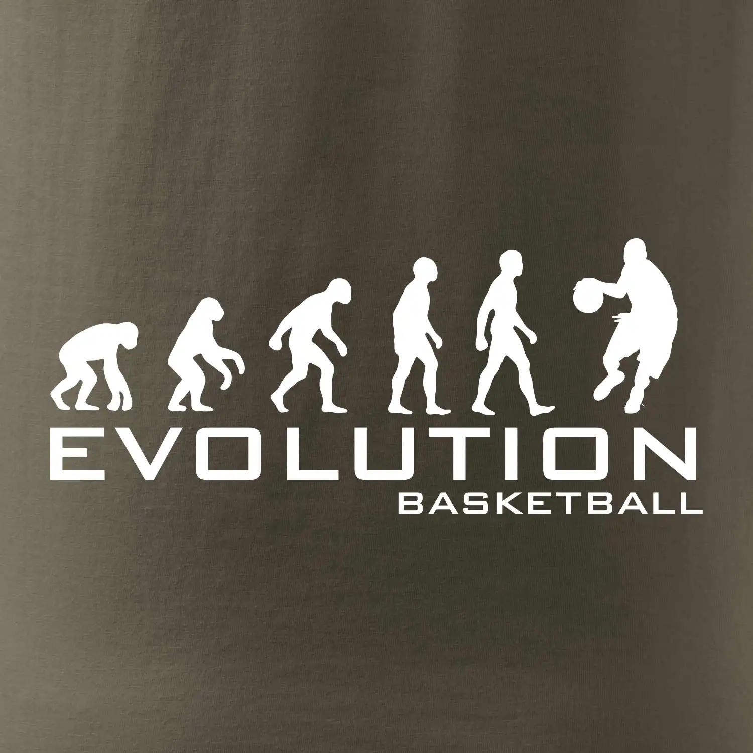 Evoluce Basketball