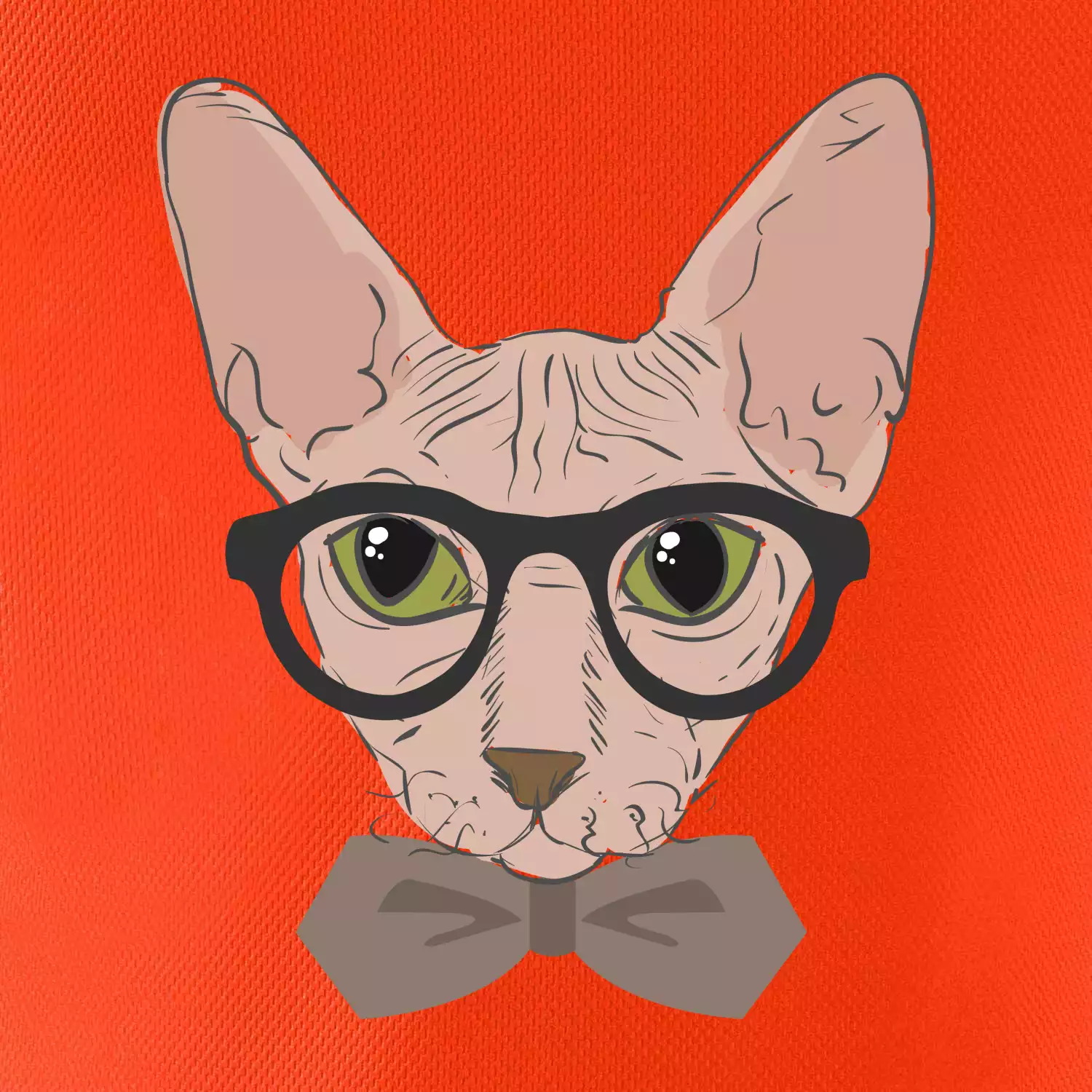 Hipster sphynx