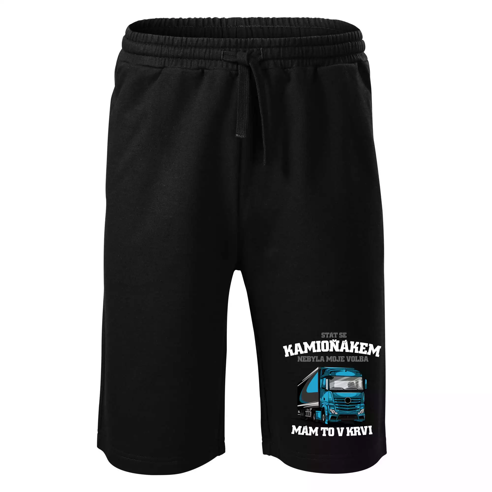 Stát se kamioňákem nebyla moje volba