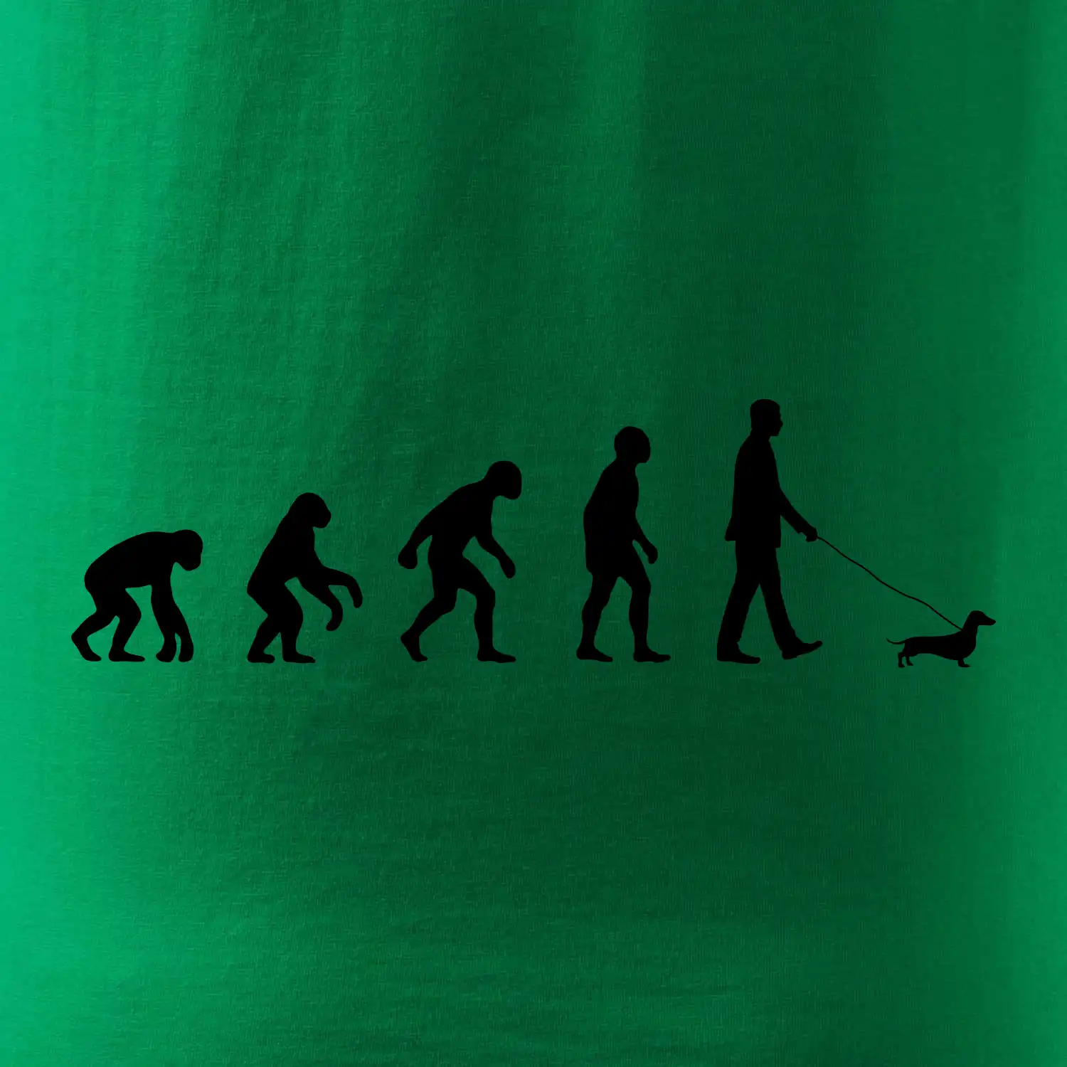 Jezevčík Evoluce muž