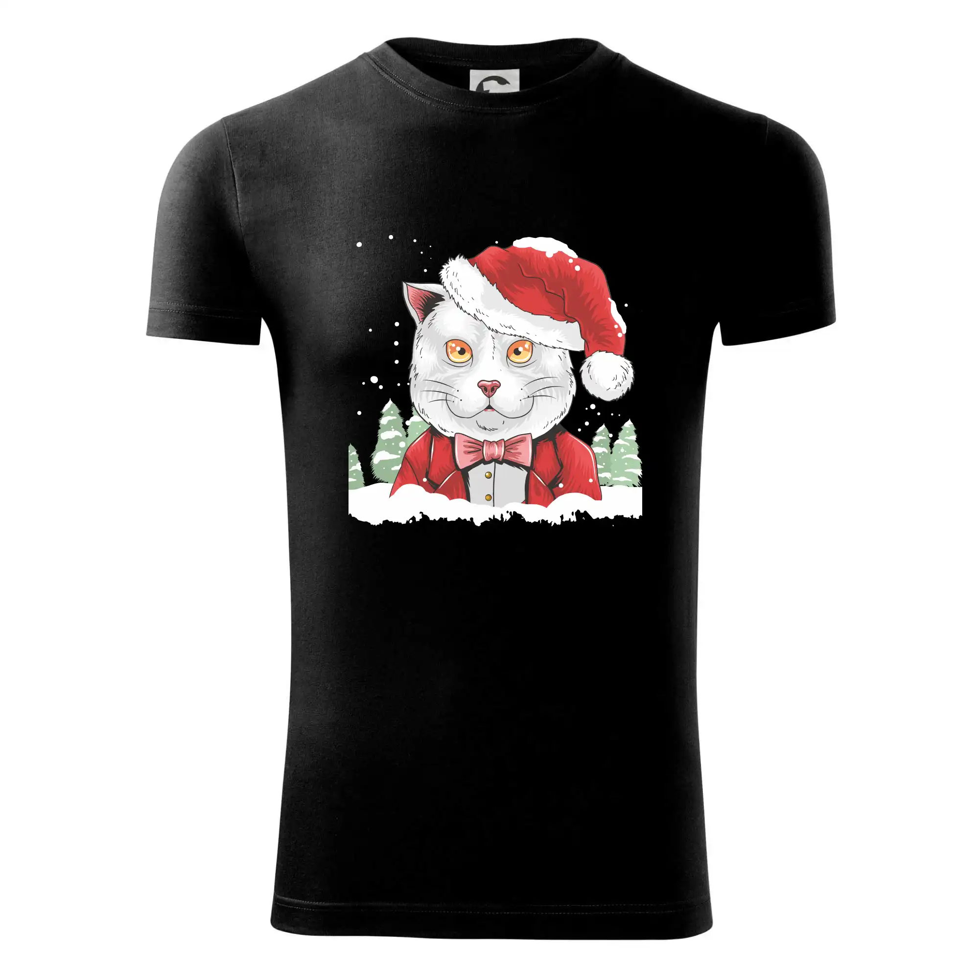 Santa kocour