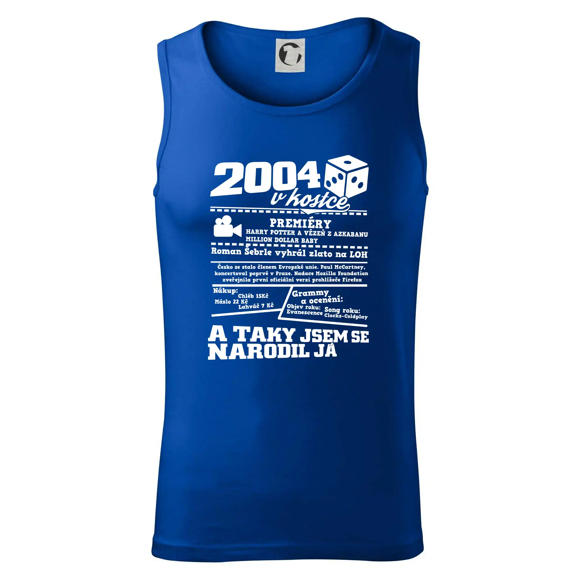 2004 v kostce
