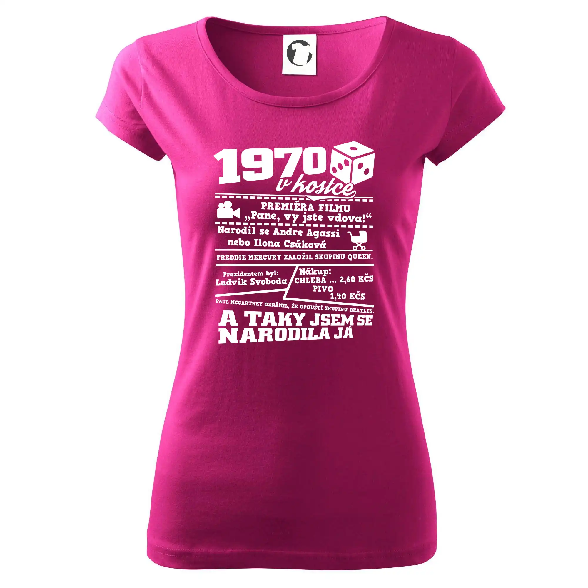 1970 v kostce