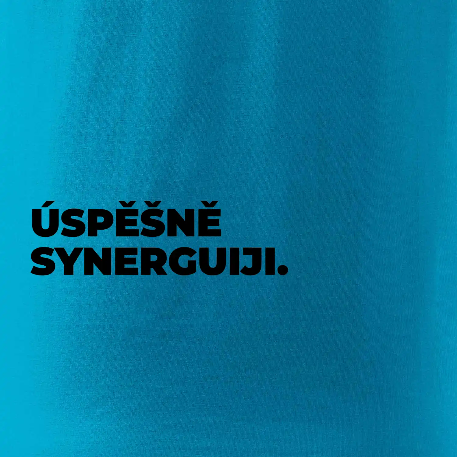 ÚSPĚŠNĚ SYNERGUIJI.