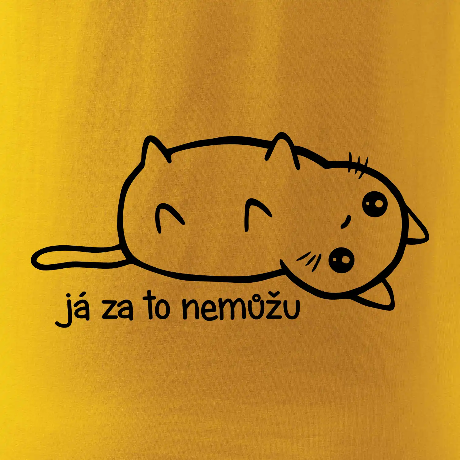 Já za to nemůžu