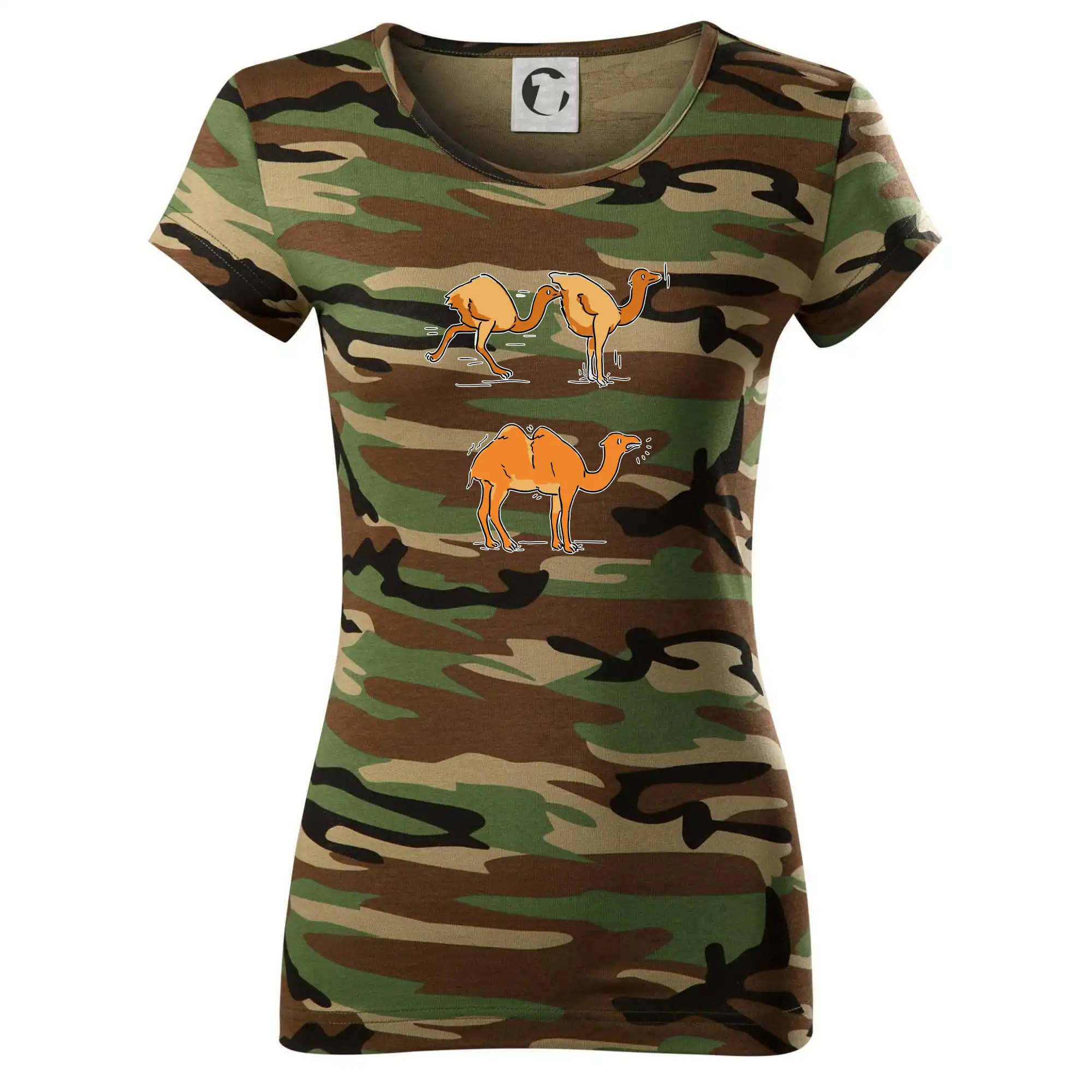 Pravda o velbloudech