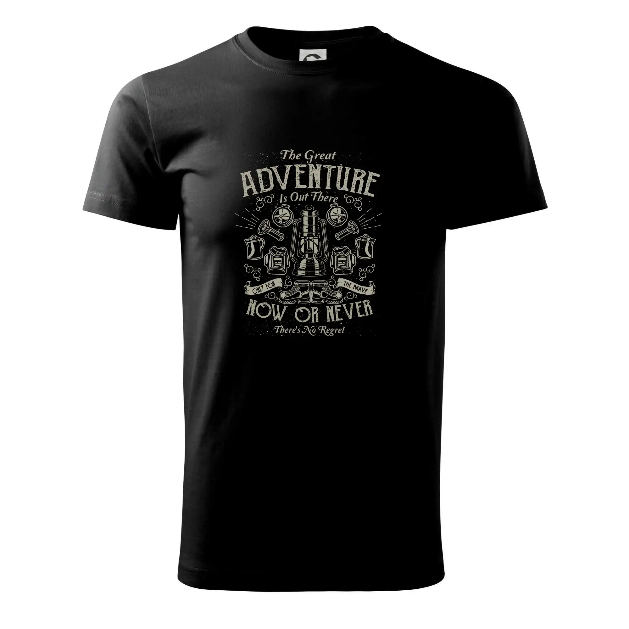 The Great Adventure now or never