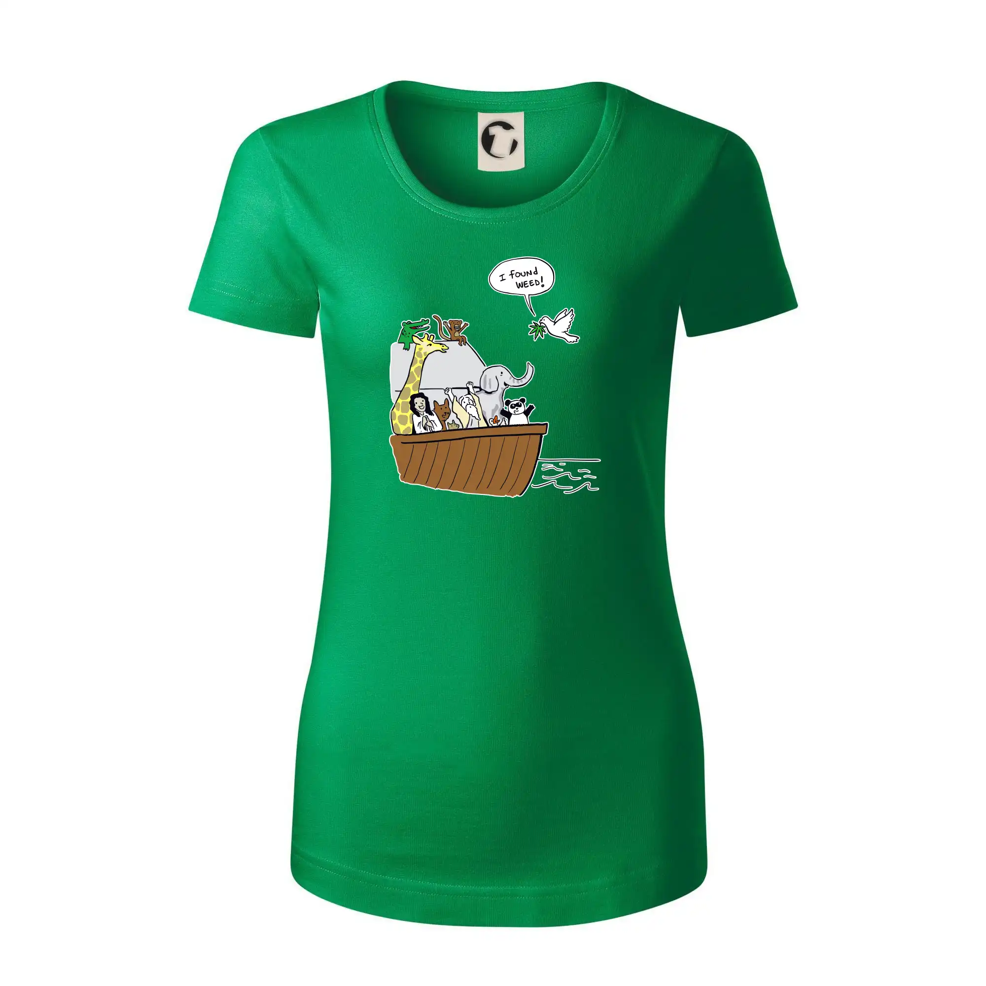 Pravda s Noemovou archou