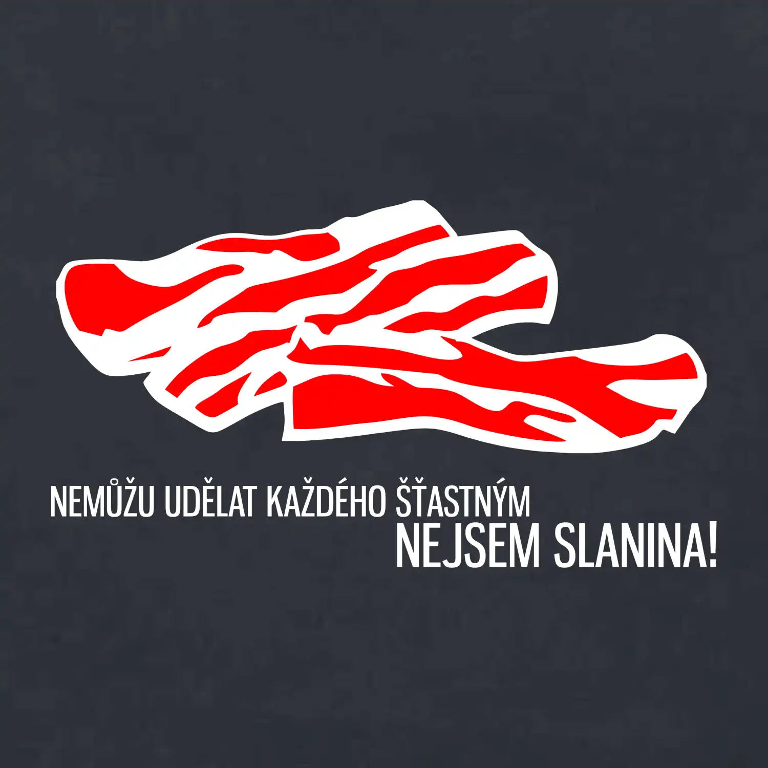 Nejsem slanina