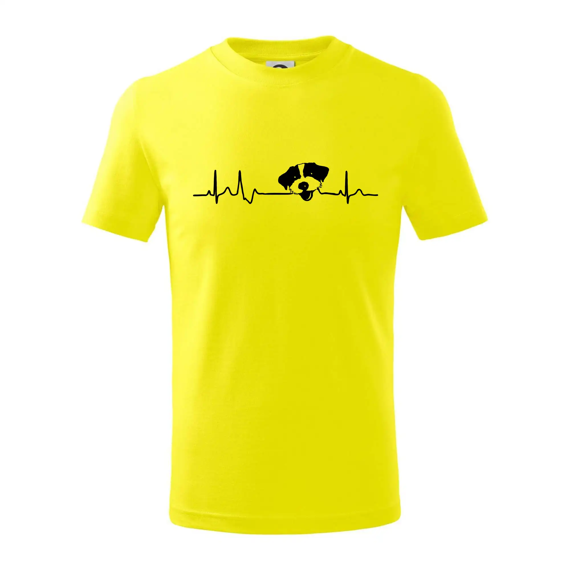 Jack Russell Terriér hrubosrstý Ekg