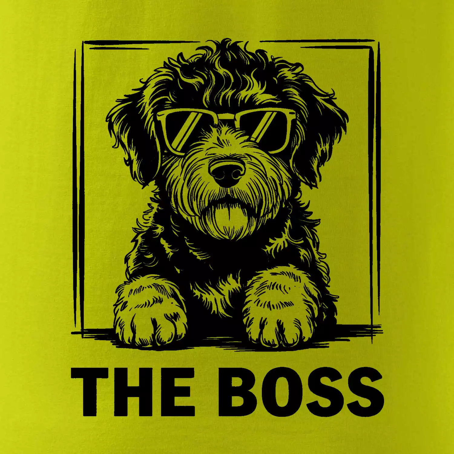 Lagotto romagnolo the boss