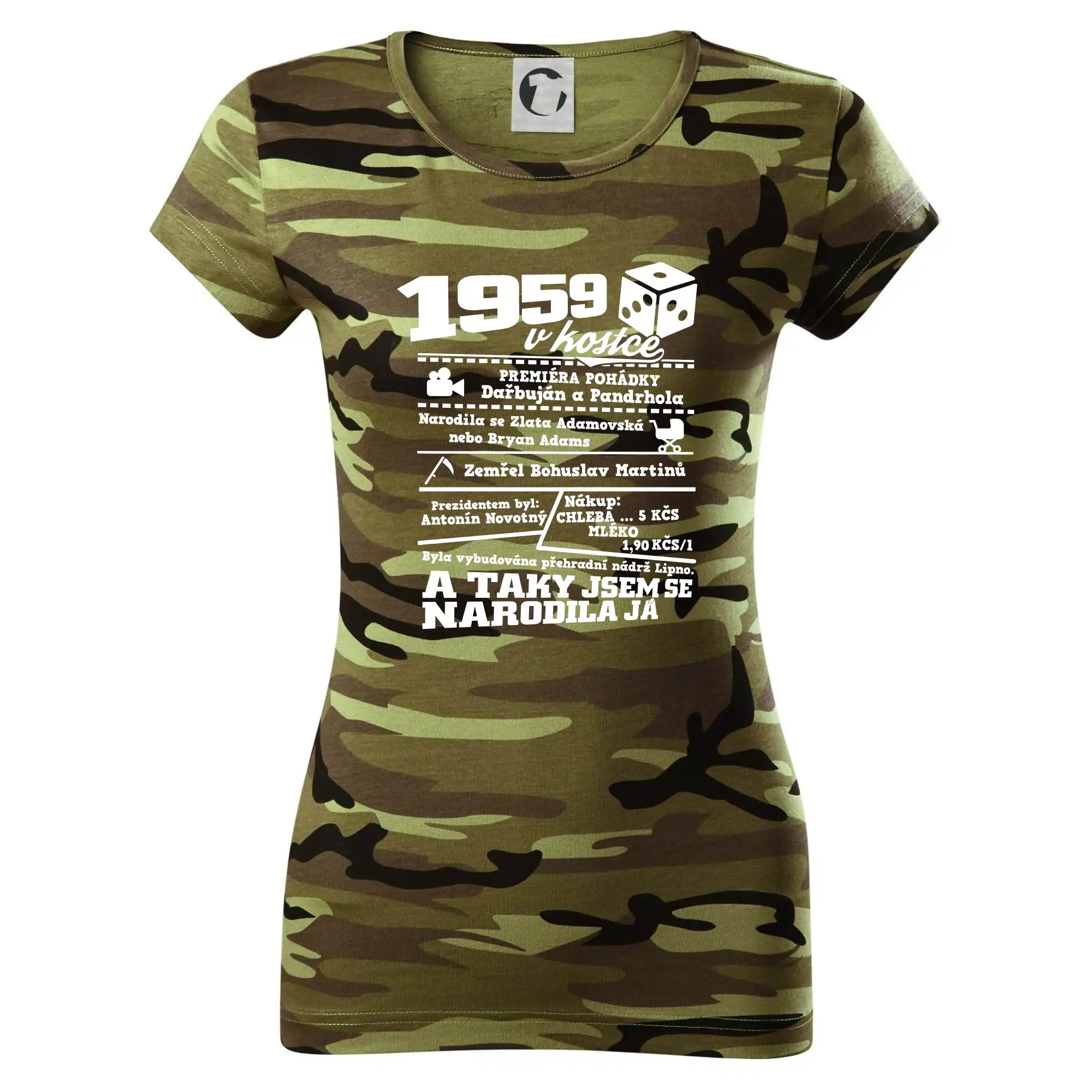 1959 v kostce