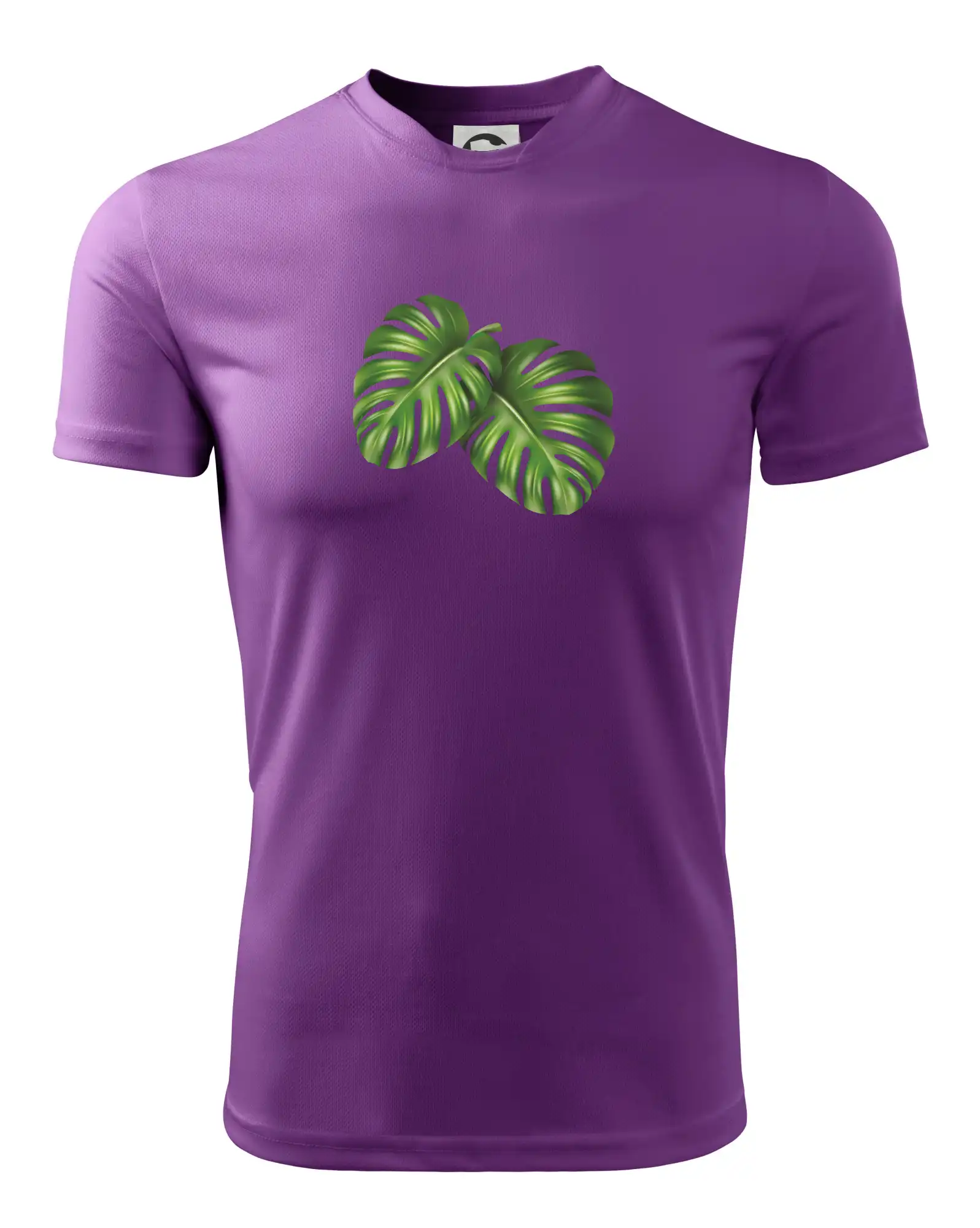 Monstera - dva listy
