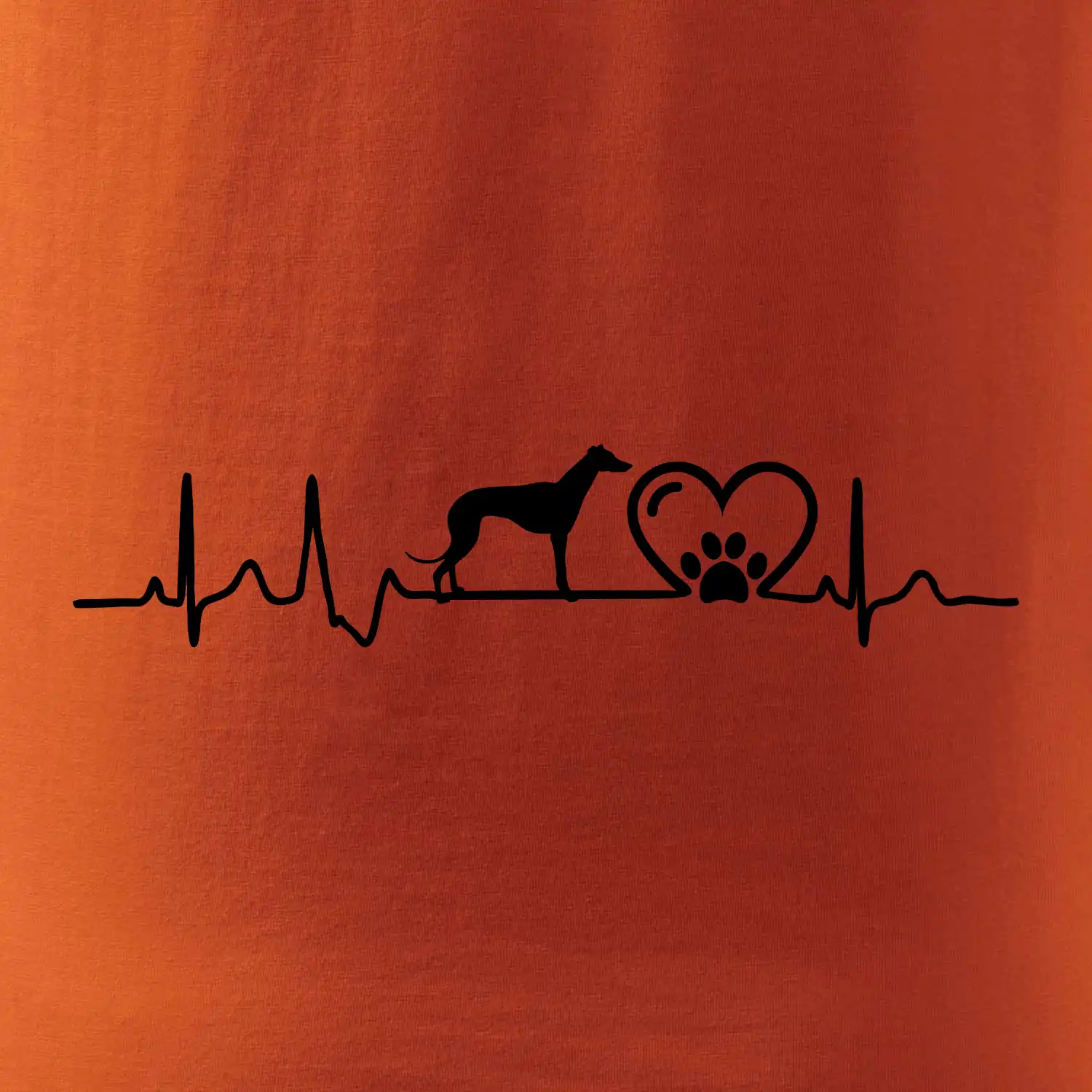 Chrt - Ekg