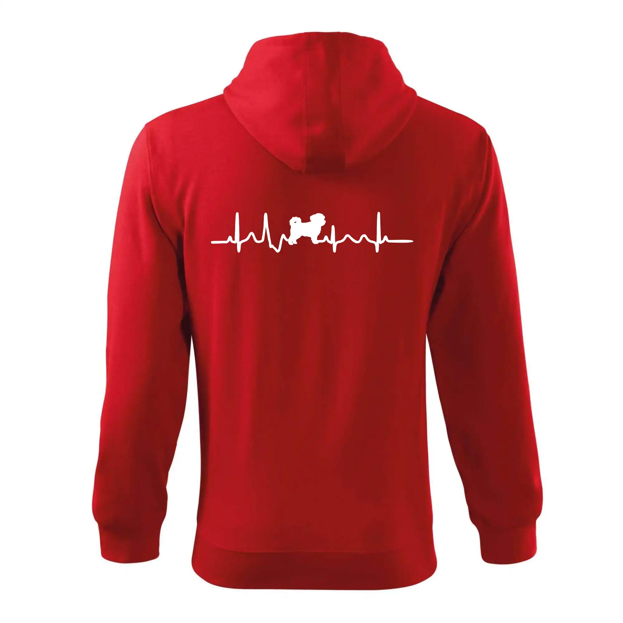 Havanský psík ekg