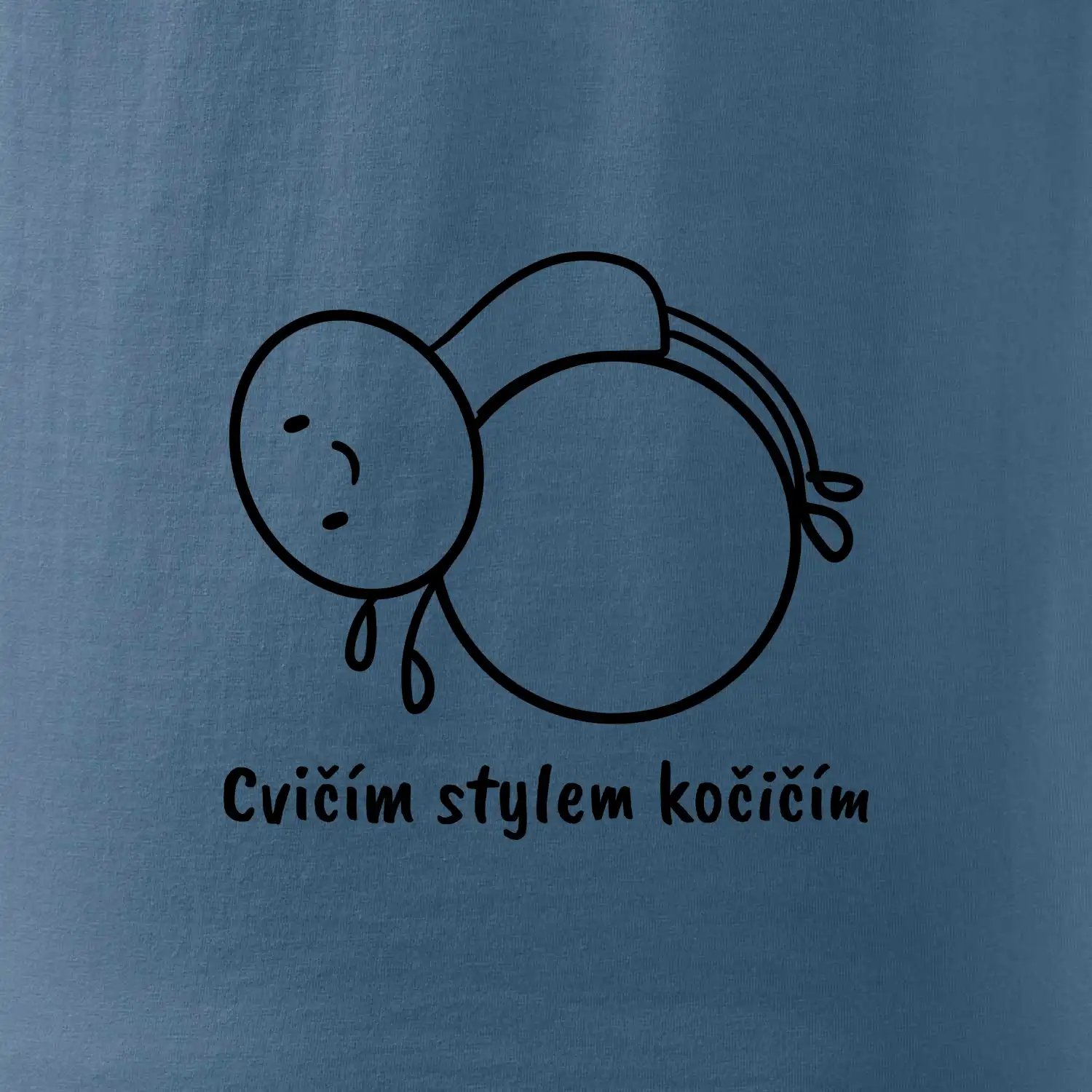 Cvičím stylem kočičím