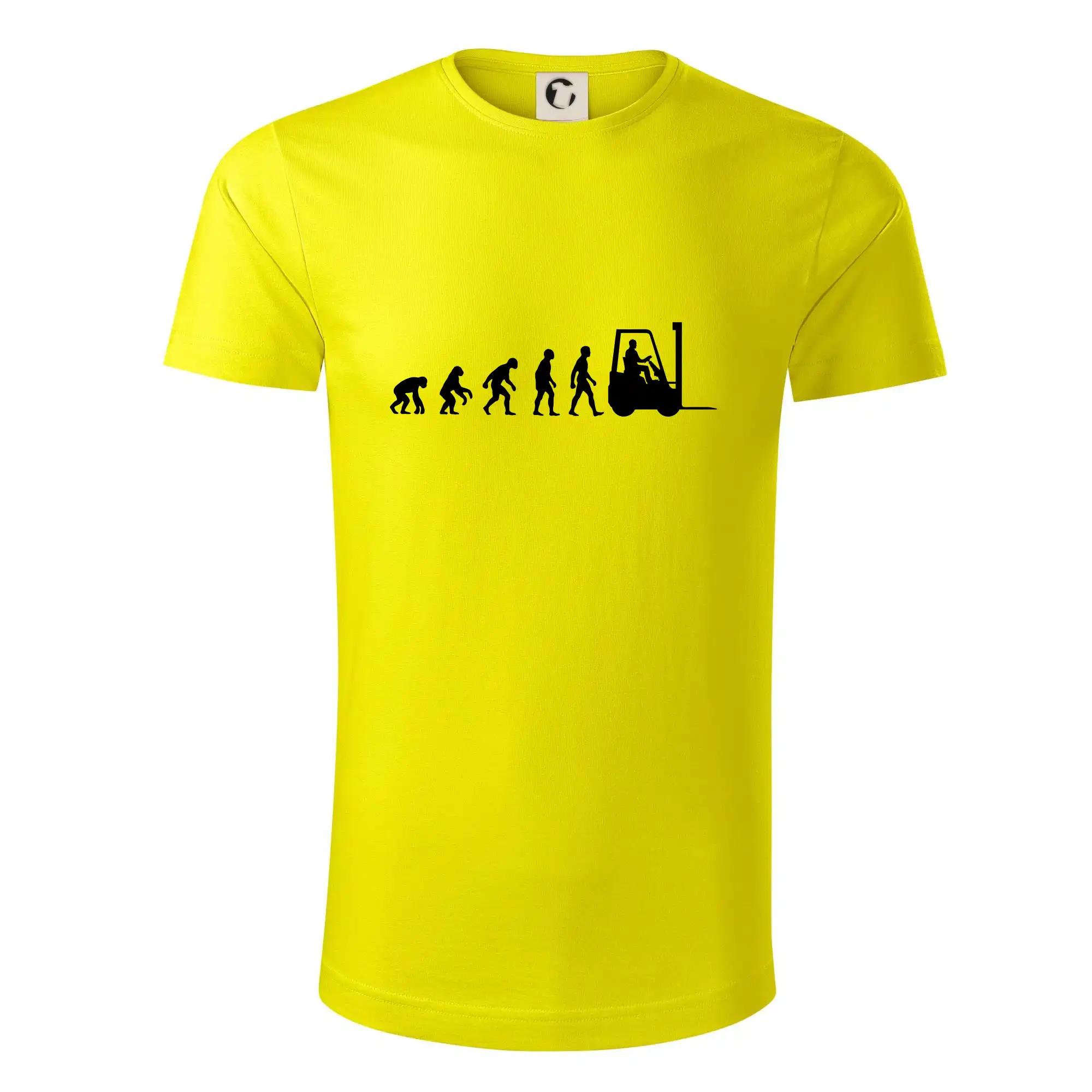 Evoluce ještěrka