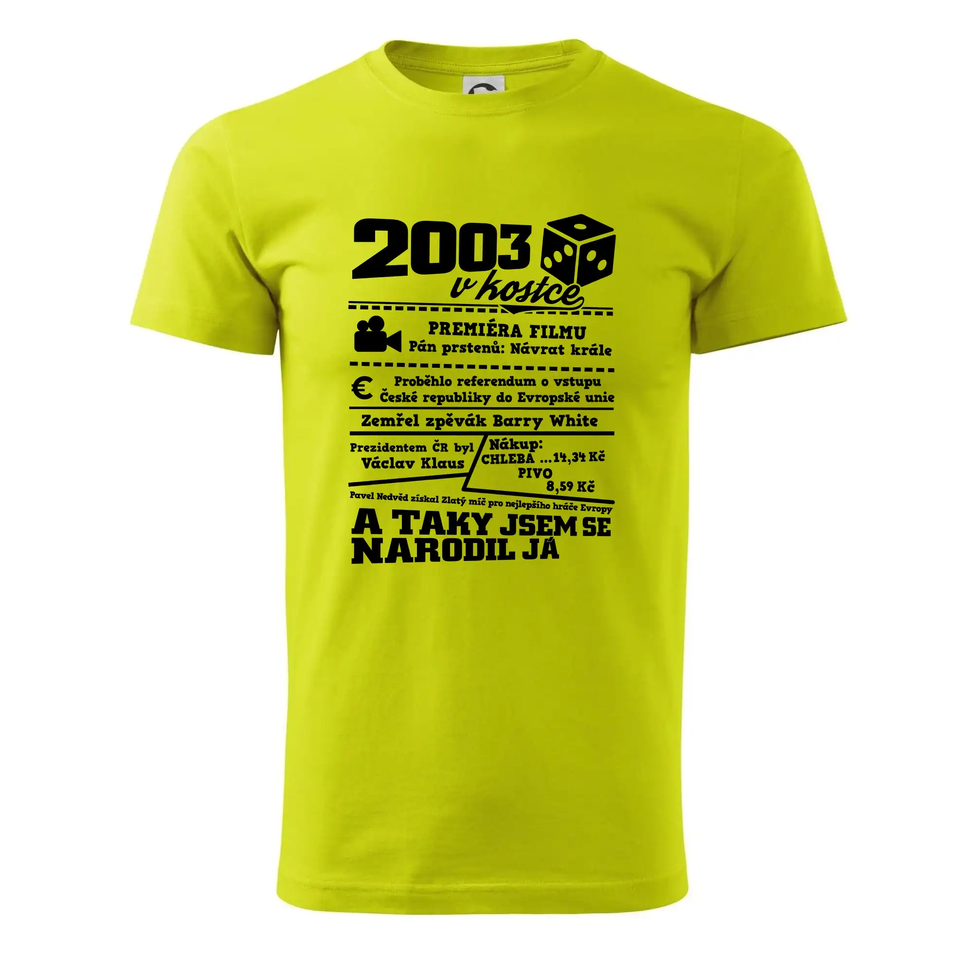 2003 v kostce