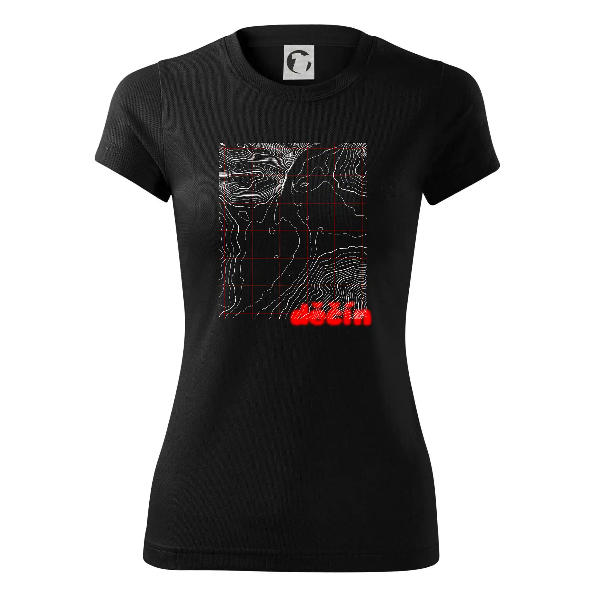 Děčín - Vrstevnice měst