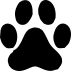 Zvířata